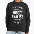 Budget Analyst - Adult & Kids T-Shirts, Sweatshirts & Hoodies apparel design preview 1