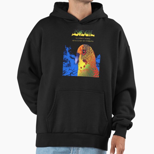 Budgie Band The Dfinitive Anthology An Ecstasy Of - Adult & Kids T-Shirts, Sweatshirts & Hoodies apparel design preview 1