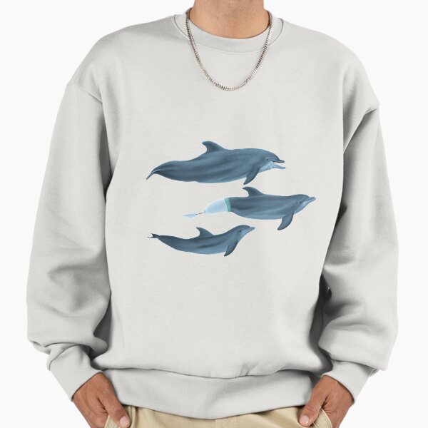The Clearwater Dolphins - Adult & Kids T-Shirts, Sweatshirts & Hoodies apparel design preview 1