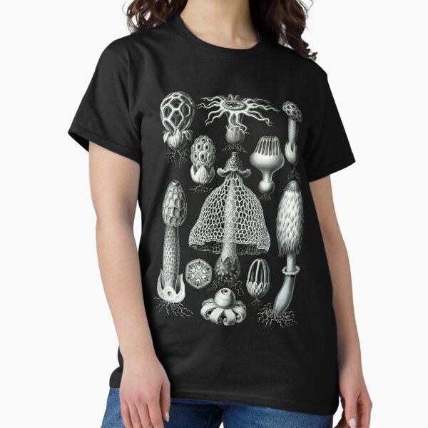 Ernst Haeckel Basimycetes (Mushrooms) - Adult & Kids T-Shirts, Sweatshirts & Hoodies apparel design preview 1