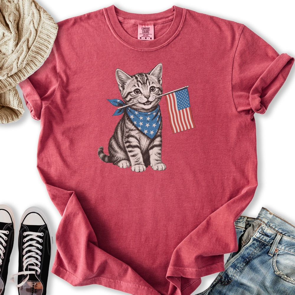 Cute July 4th Tabby - Adult & Kids T-Shirts, Sweatshirts & Hoodies apparel design preview 1