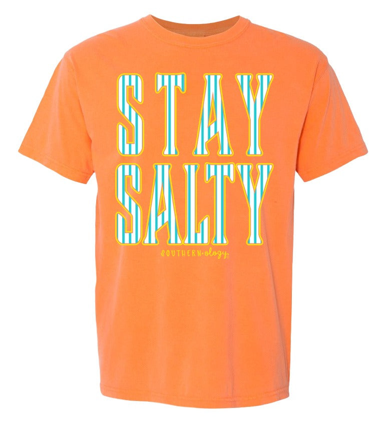 Southernology Salty Stripes Comfort Colors - Adult & Kids T-Shirts, Sweatshirts & Hoodies apparel design preview 2
