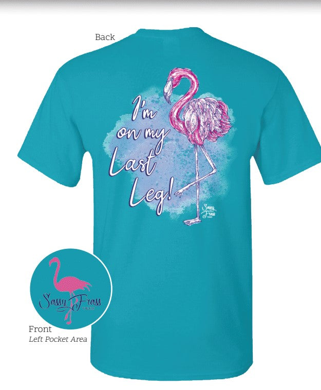 Sassy Frass I'm on my Last Leg Flamingo - Adult & Kids T-Shirts, Sweatshirts & Hoodies apparel design preview 2