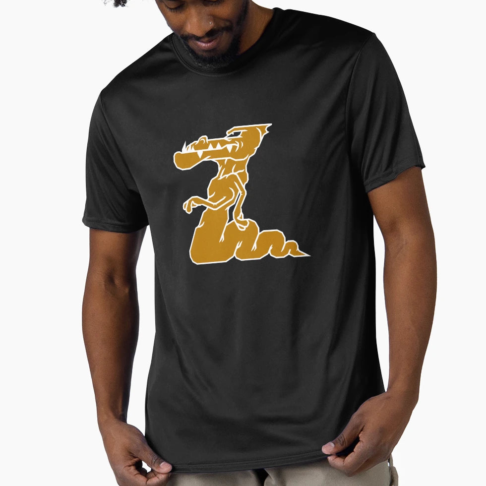 Dragon Z T-Shirt - Aesthetic Graphic for Adults - T-Shirt, Sweatshirt, Hoodie