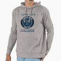 Torn College Logo Hoodie - Streetwear Style Unisex - T-Shirt, Sweatshirt, Hoodie