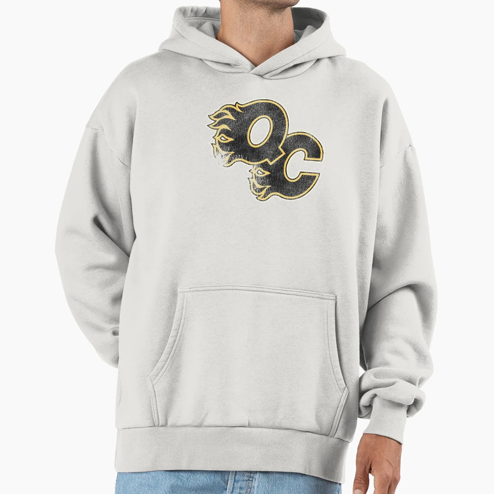 Quad City Flames Hoodie - Trendy Graphic Men Women - T-Shirt, Sweatshirt, Hoodie