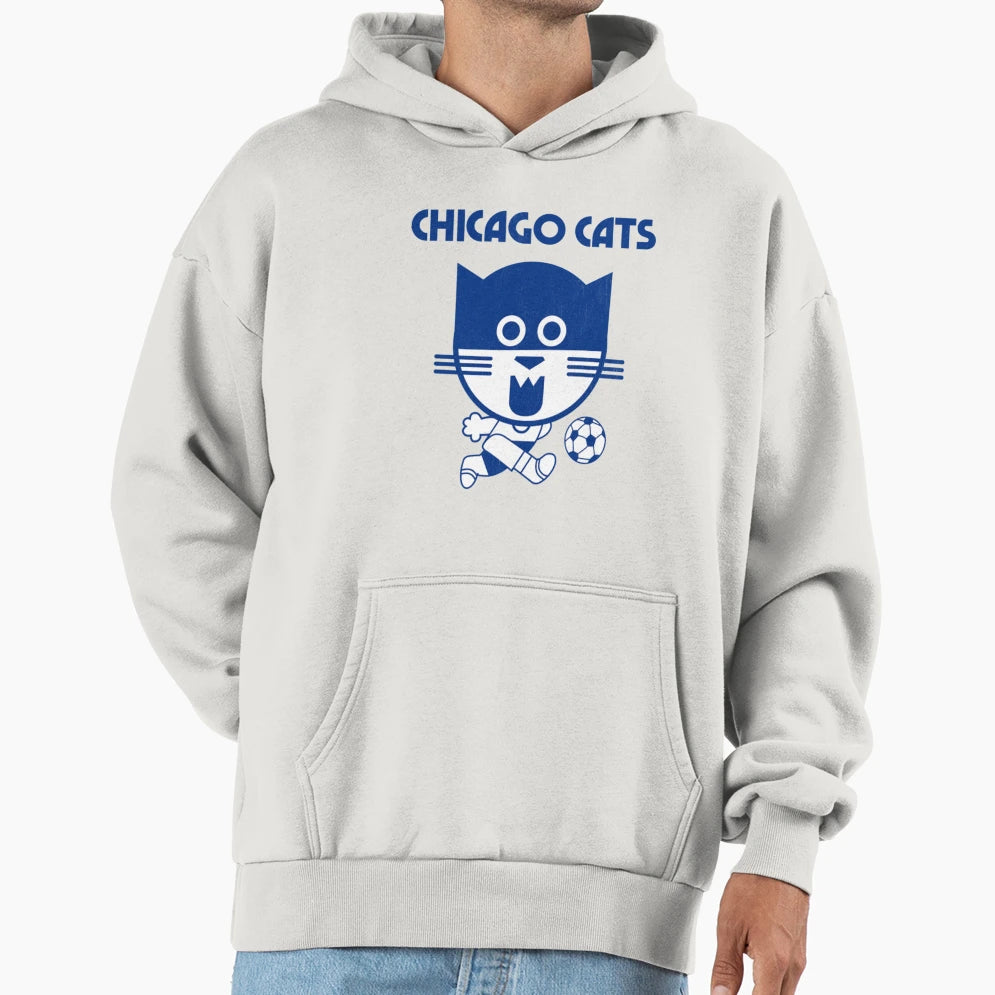 Chicago T Shirtdefunct Chicago T-Shirt - Fun Novelty Design for Adults - T-Shirt, Sweatshirt, Hoodie