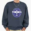 Eastleigh Fc Crest Aviation Sweatshirt - Trendy Graphic for Adults - T-Shirt, Sweatshirt, Hoodie