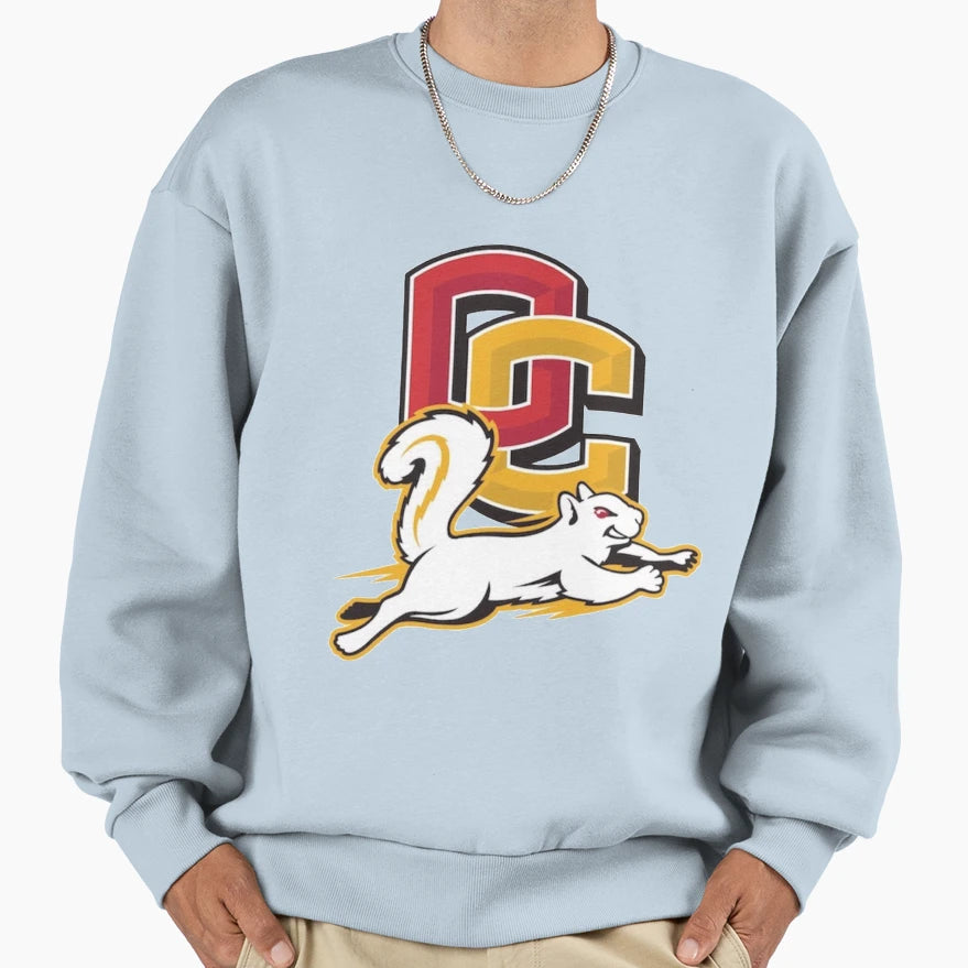 Oberlin College Sweatshirt - Casual Everyday Wear Men Women - T-Shirt, Sweatshirt, Hoodie