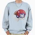 Football Kitten Sweatshirt - Novelty Apparel Unisex - T-Shirt, Sweatshirt, Hoodie