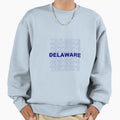 Delaware Tailgate Sweatshirt - Streetwear Style for Adults - T-Shirt, Sweatshirt, Hoodie