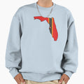 Tampa Bay Football Sweatshirt - Novelty Apparel for Adults - T-Shirt, Sweatshirt, Hoodie