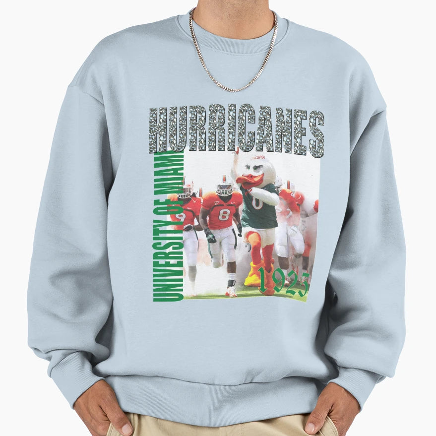Hurricanes T-Shirt - Custom Art Print for Adults - T-Shirt, Sweatshirt, Hoodie