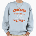 Chicago Pro Football 100 Seasons T-Shirt - Trendy Graphic for Adults - T-Shirt, Sweatshirt, Hoodie
