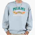 Miami Pro Football 1966 Sweatshirt - Novelty Apparel for Adults - T-Shirt, Sweatshirt, Hoodie