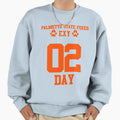 All Game Palmetto State Foxes Sweatshirt - Aesthetic Graphic Men Women - T-Shirt, Sweatshirt, Hoodie