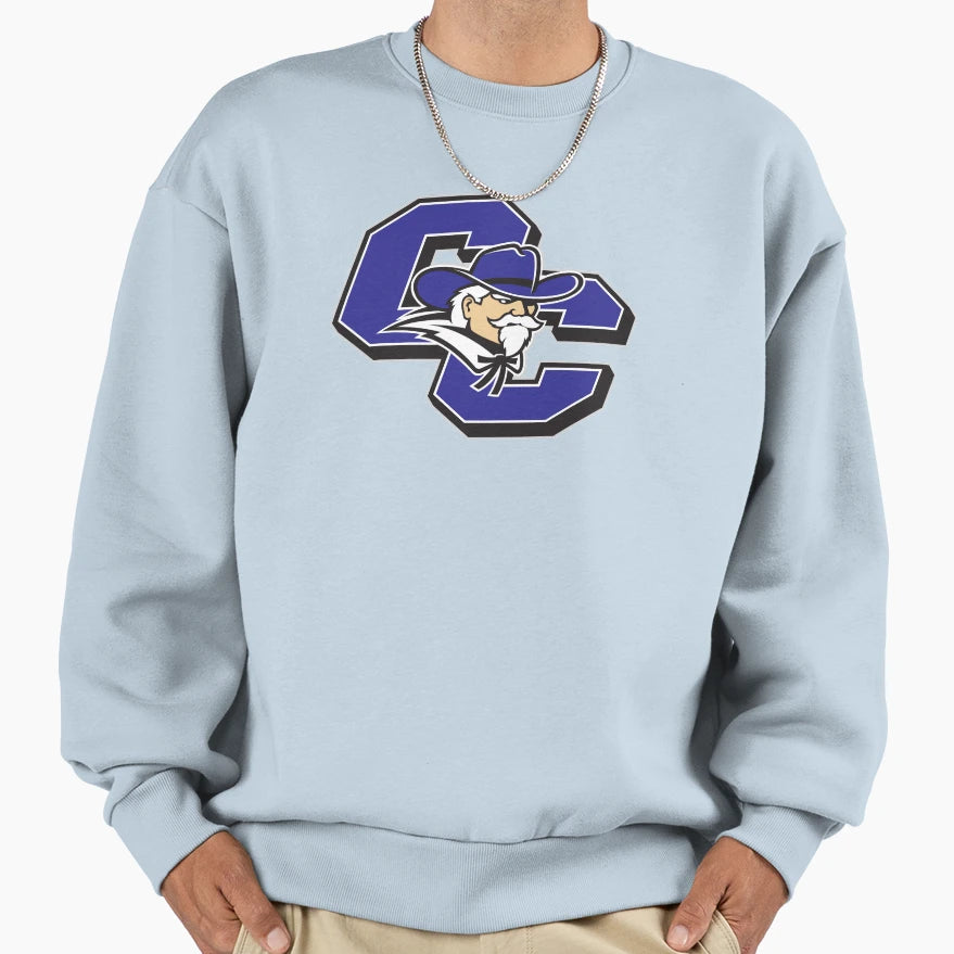 Curry College Colonels Sweatshirt - Aesthetic Graphic Unisex - T-Shirt, Sweatshirt, Hoodie