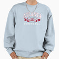 Art Atlanta Falcons Sweatshirt - Trendy Graphic for Adults - T-Shirt, Sweatshirt, Hoodie