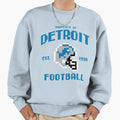Football Detroit Lions Sweatshirt - Novelty Apparel Unisex - T-Shirt, Sweatshirt, Hoodie