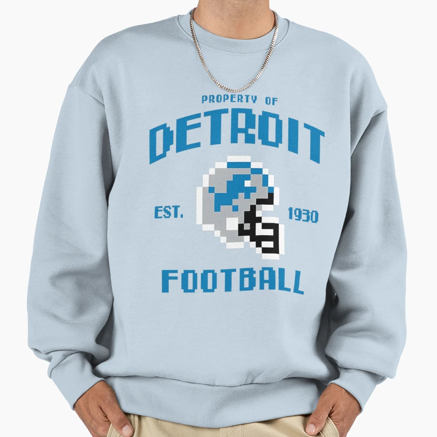 Football Detroit Lions Sweatshirt - Novelty Apparel Unisex - T-Shirt, Sweatshirt, Hoodie