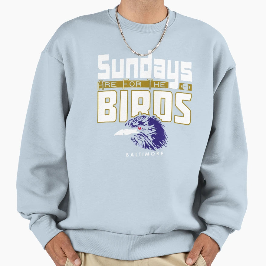 Baltimore Pro Football Sunday Birds Sweatshirt - Novelty Apparel Men Women - T-Shirt, Sweatshirt, Hoodie