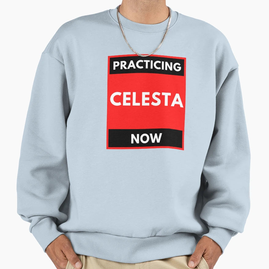 Practicing Celesta Now Sweatshirt - Fun Novelty Design Men Women - T-Shirt, Sweatshirt, Hoodie