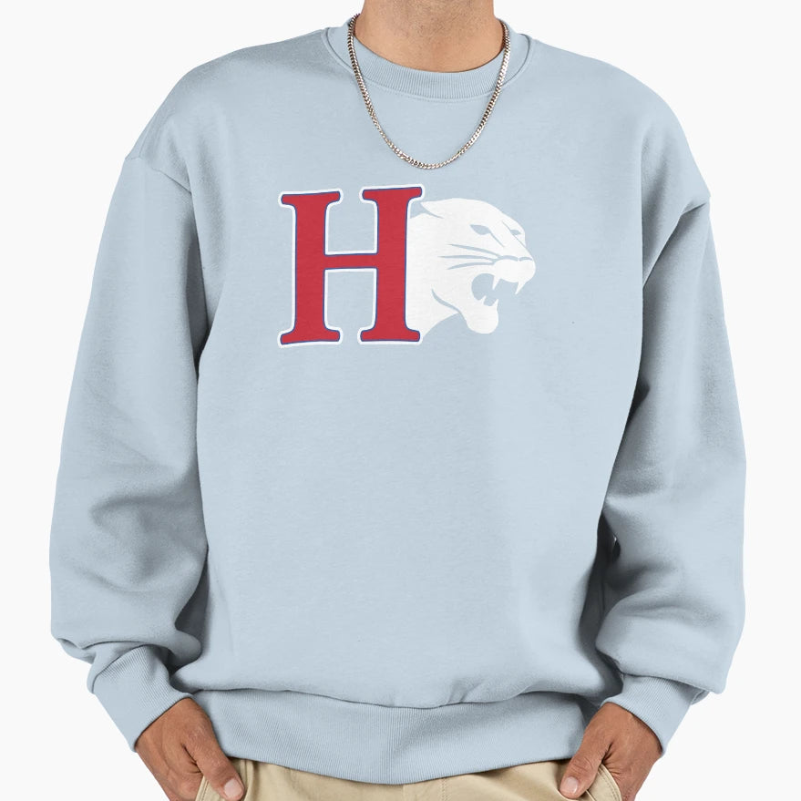 Hanover College Athletics Sweatshirt - Casual Everyday Wear for Adults - T-Shirt, Sweatshirt, Hoodie