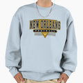 New Orleans Football Saints Sweatshirt - Custom Art Print Men Women - T-Shirt, Sweatshirt, Hoodie