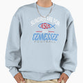 Tennessee Pro Football Sundays And Sweatshirt - Unique Graphic Unisex - T-Shirt, Sweatshirt, Hoodie