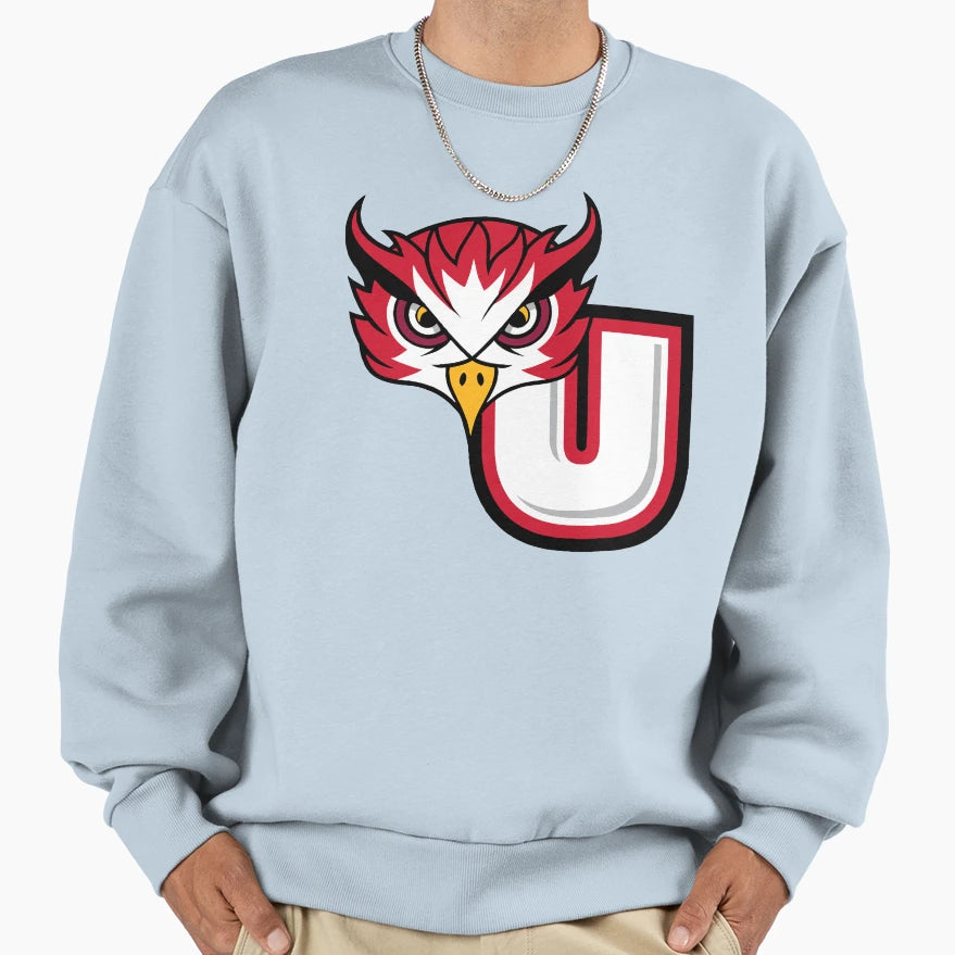 Union County Owls Sweatshirt - Graphic Print for Adults - T-Shirt, Sweatshirt, Hoodie