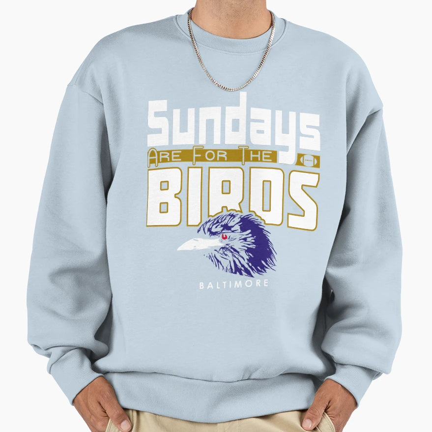 Baltimore Pro Football Sunday Birds Sweatshirt - Novelty Apparel Unisex - T-Shirt, Sweatshirt, Hoodie