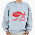 Arizona Cardinals T Shirtvintage T-Shirt - Fun Novelty Design Unisex - T-Shirt, Sweatshirt, Hoodie
