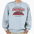 Bournemouth Football College Sweatshirt - Trendy Graphic for Adults - T-Shirt, Sweatshirt, Hoodie