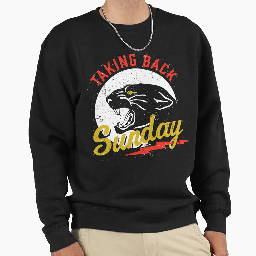 Taking Back Sunday Panther Sweatshirt - Trendy Graphic Unisex - T-Shirt, Sweatshirt, Hoodie