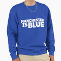 City Supporter Essentials Sweatshirt - Aesthetic Graphic Unisex - T-Shirt, Sweatshirt, Hoodie