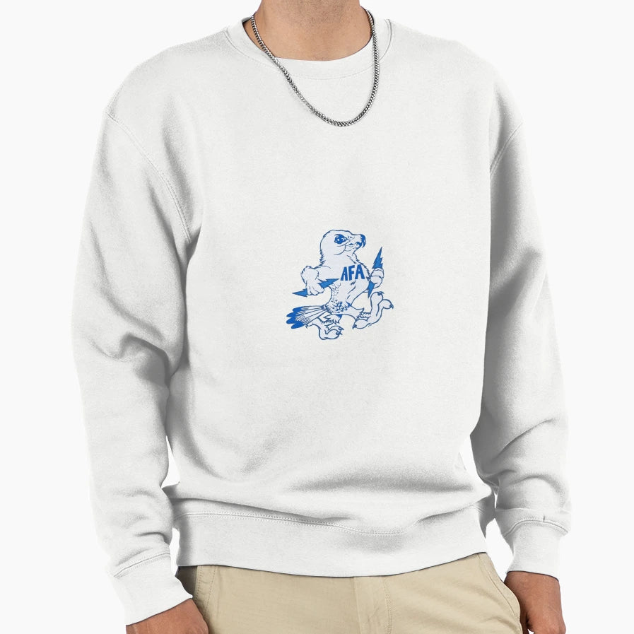 Air Force Academy Flacon Logo Sweatshirt - Streetwear Style Unisex - T-Shirt, Sweatshirt, Hoodie
