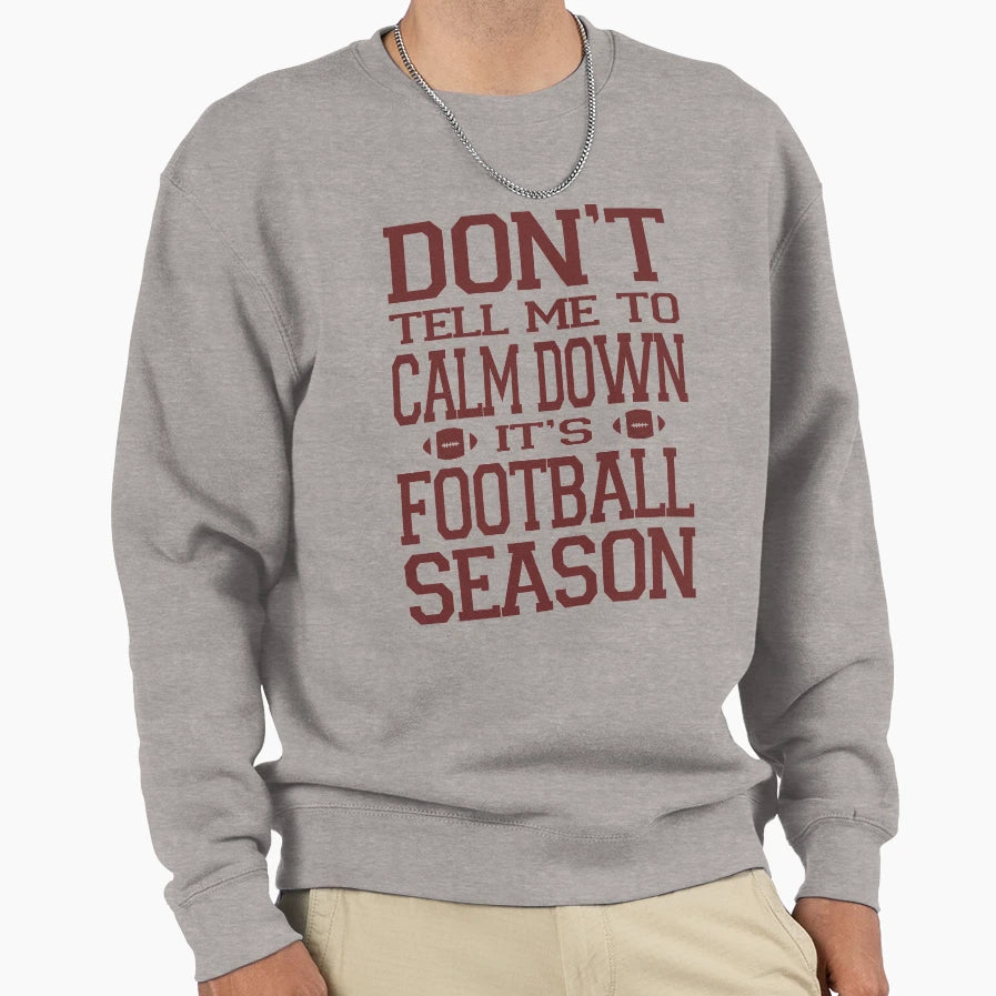 Football Season Sweatshirt - Casual Everyday Wear Unisex - T-Shirt, Sweatshirt, Hoodie