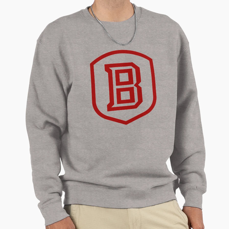 Bradley College Sweatshirt - Custom Art Print Men Women - T-Shirt, Sweatshirt, Hoodie